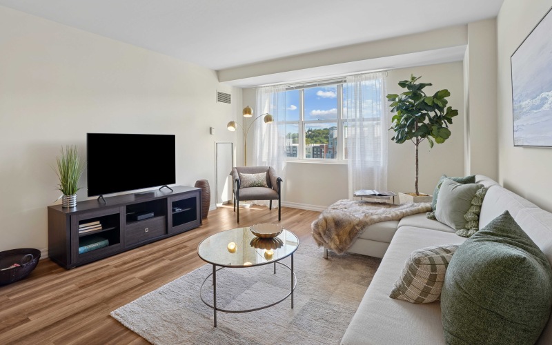 1 bedroom living room